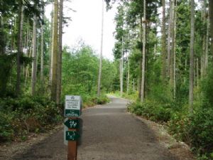 Larry Scott Trail in Trailhead Park by Matt Tyler